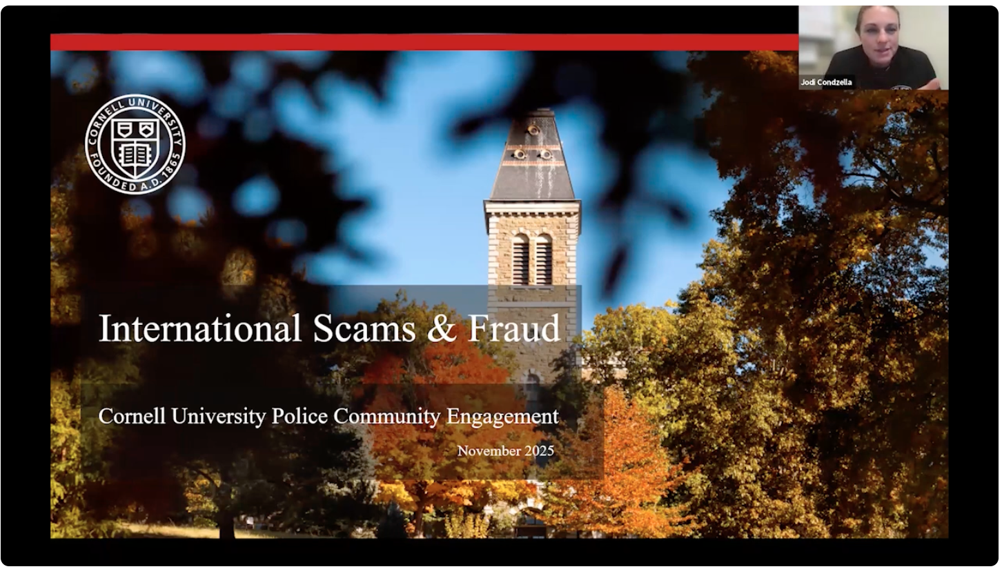 Avoiding Scams International Services
